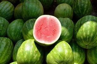 白经理吃瓜,一场别开生面的职场“吃瓜”记